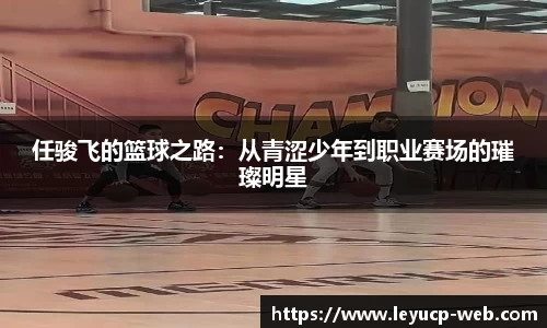 任骏飞的篮球之路：从青涩少年到职业赛场的璀璨明星